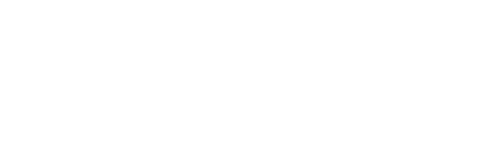 white Qpro logo